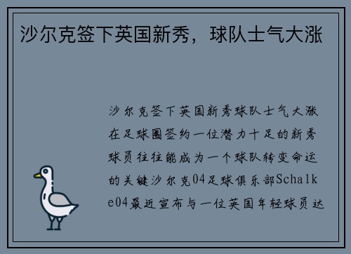 沙尔克签下英国新秀，球队士气大涨