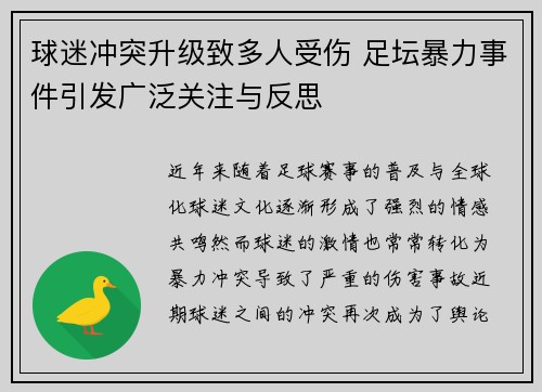 球迷冲突升级致多人受伤 足坛暴力事件引发广泛关注与反思